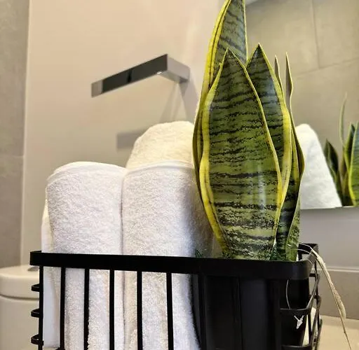 Apartamento Espectacular Depto En Santa Fe *